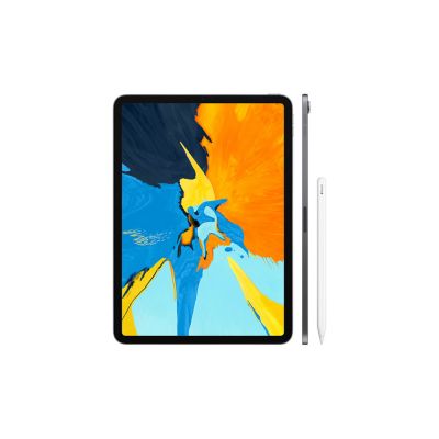 Apple - 11 Inch iPad Pro  with Wi-Fi 64GB