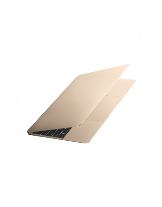 Laptop Asus X507UF-BR203T Gold Metal