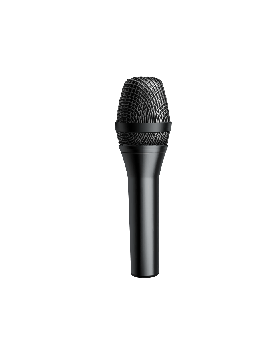 Excelvan wireless microphone